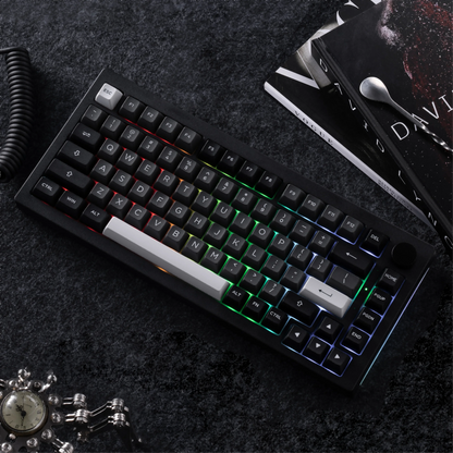 Akko Mechanical Gaming Keyboard